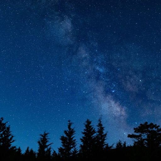 サイトアイコン